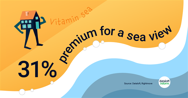 205_Dataloft_Vitamin_Sea-01 205_Dataloft_Vitamin_Sea-01