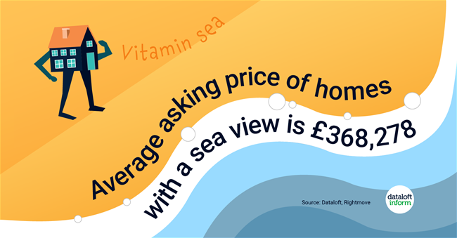 205_Dataloft_Vitamin_Sea-02