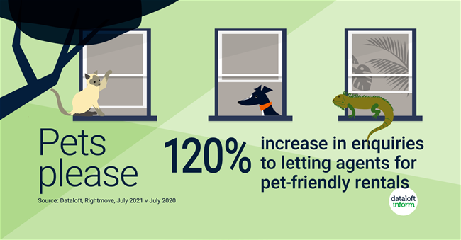 240_Dataloft_Pets_please-01 240_Dataloft_Pets_please-01